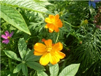 b8eb1761-Picture 6406.jpg